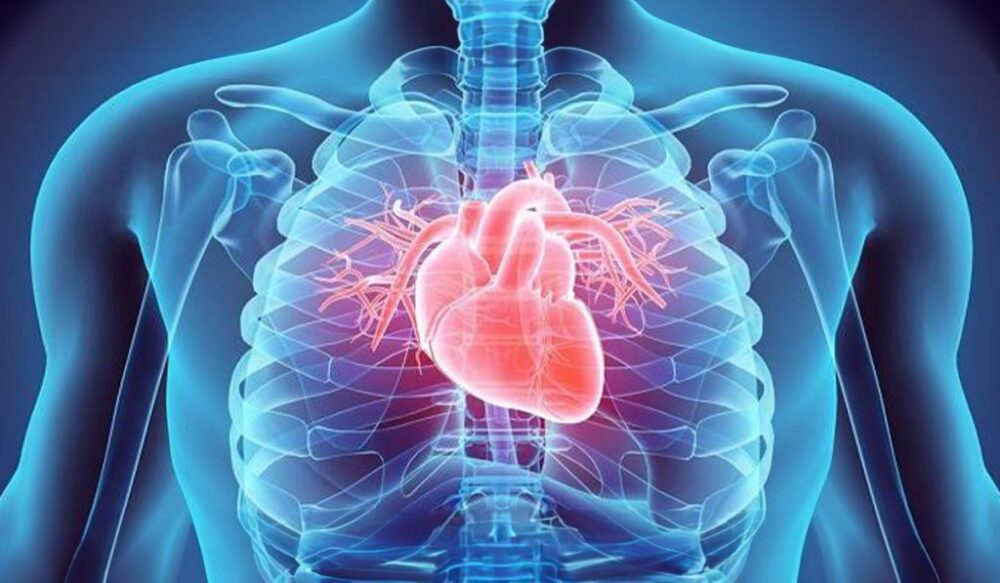 Svetový deň srdca: Pre zdravé srdce a cievy je najdôležitejšia prevencia