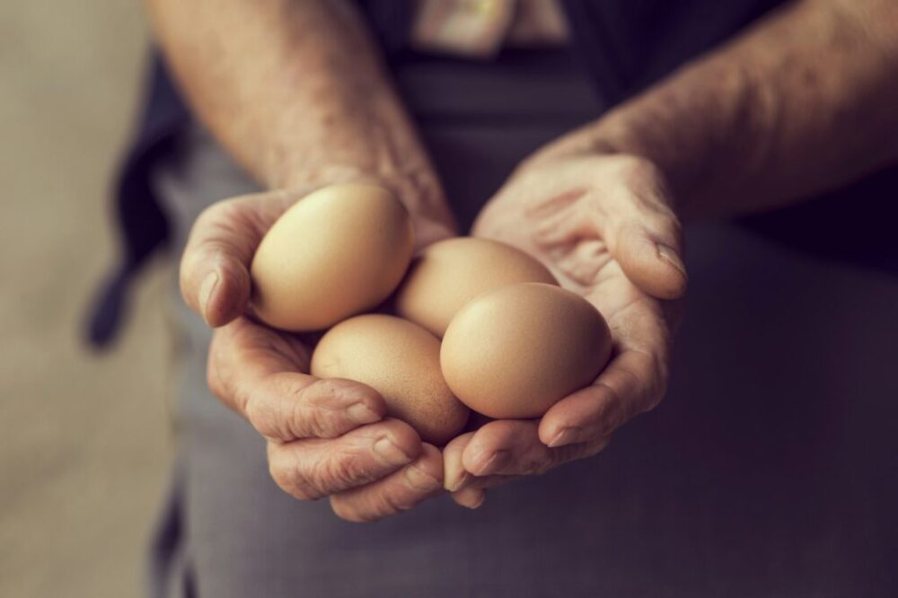 Skladujte vajcia mimo chladničky a vydržia čerstvé mesiace