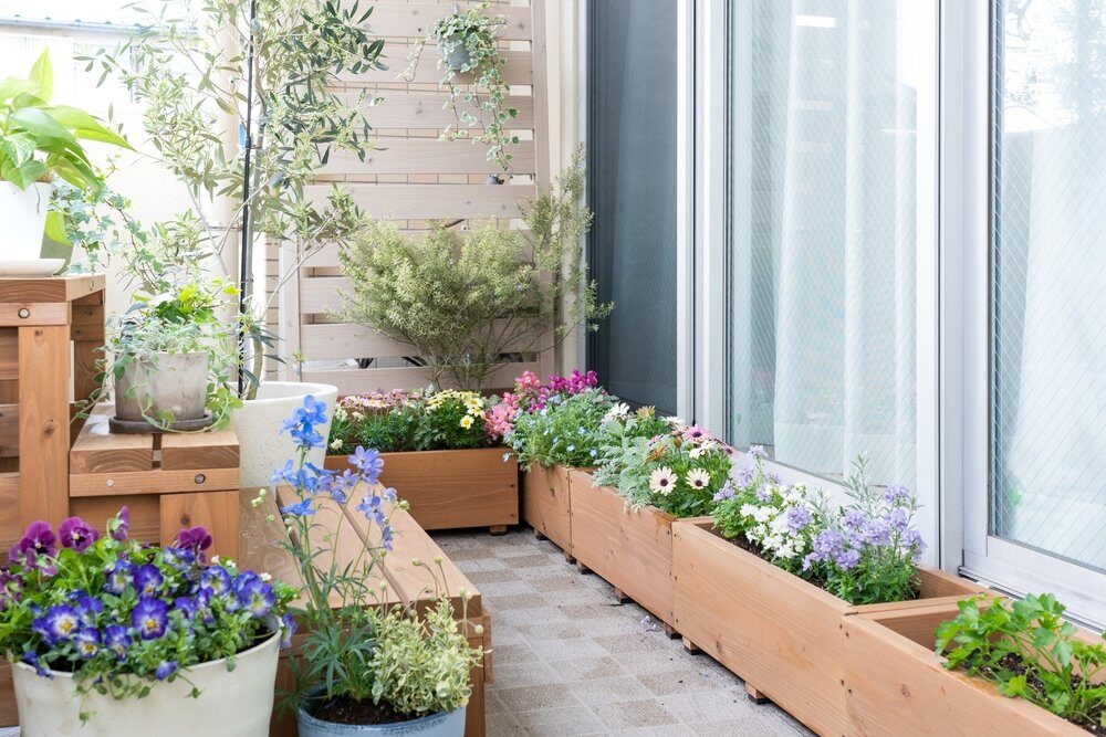 Ktoré kvety na váš balkón? Osem krásnych rastlín – sú odolné a neuveriteľne jednoduché na pestovanie