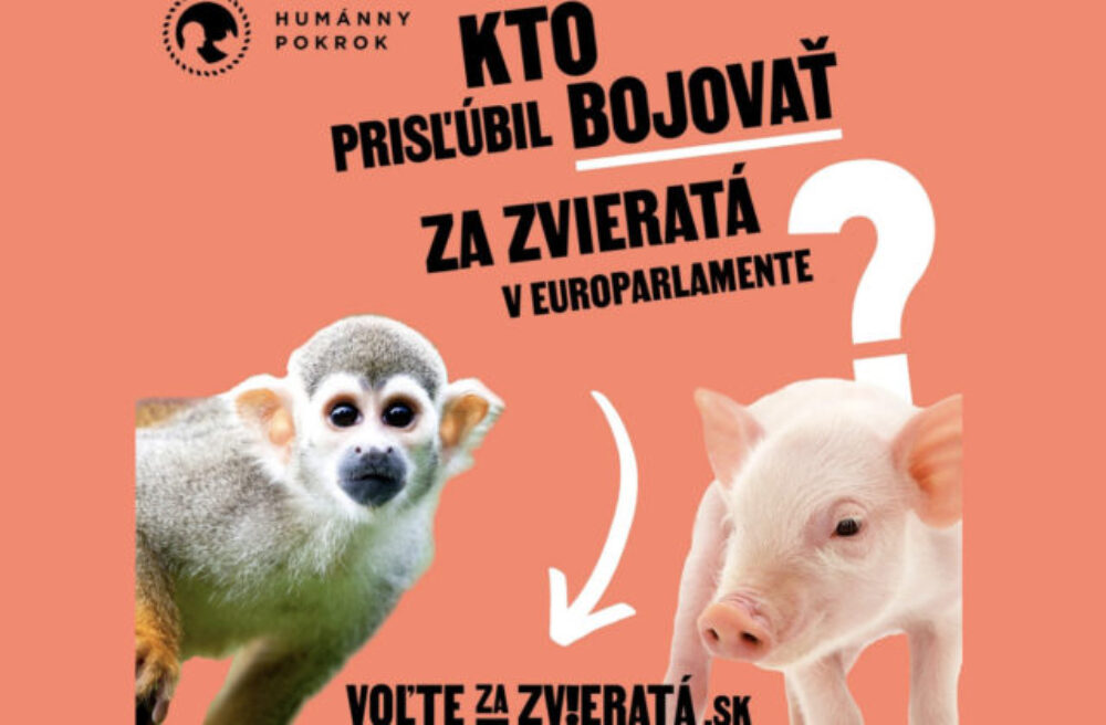 Organizácie vyzvali kandidátov do eurovolieb, aby prijali záväzok pre lepšiu ochranu zvierat. Zatiaľ sa pripojilo 46 z nich