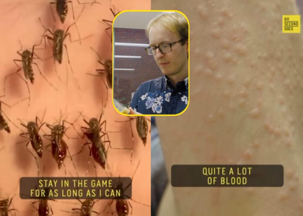 Biológ dobrovoľne kŕmi svojou krvou komáre. Pozrite si šokujúce video