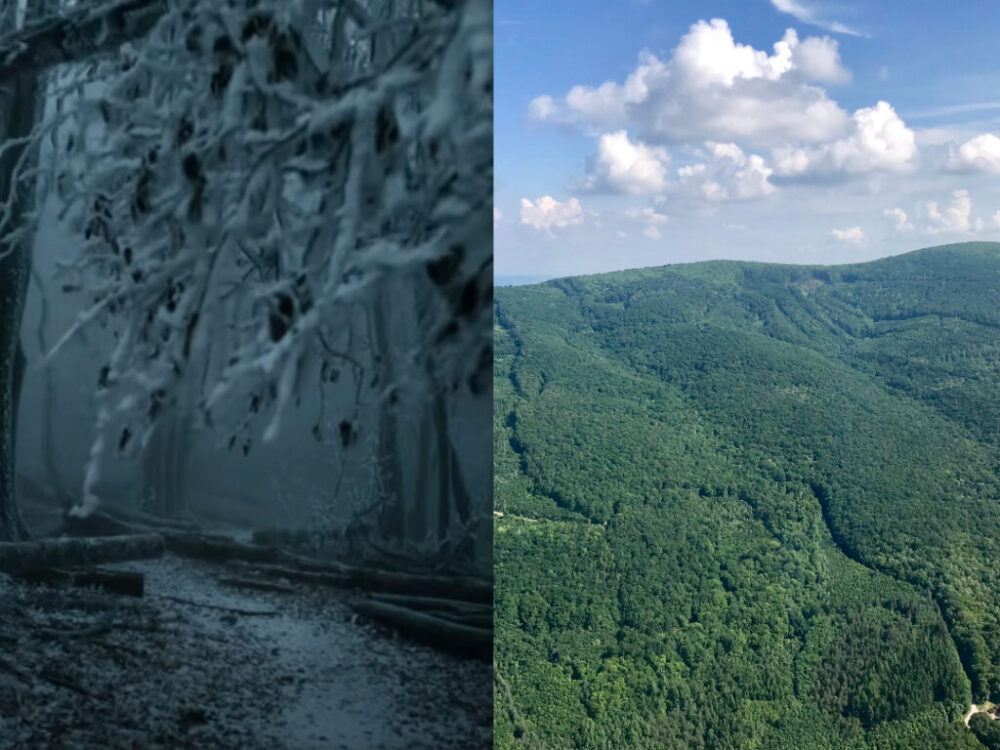 Slovenský „Bermudský trojuholník“. Hovorí sa, že v tomto lese miznú ľudia