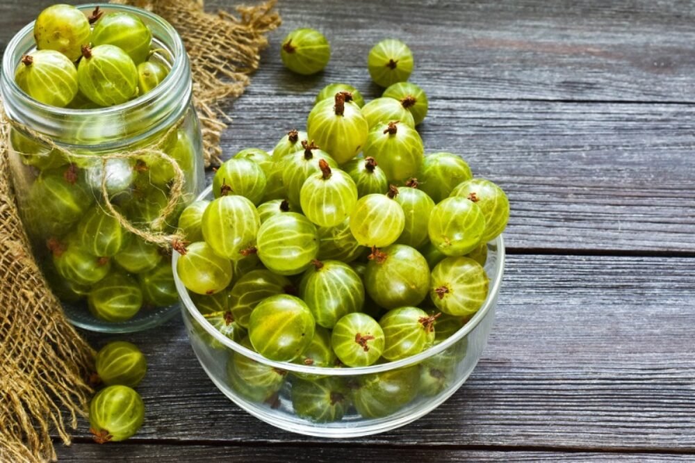 Zabudnuté ovocie z obdobia socializmu. Podporuje činnosť čriev a znižuje hladinu cholesterolu. Jedzte a nestarajte sa o kalórie