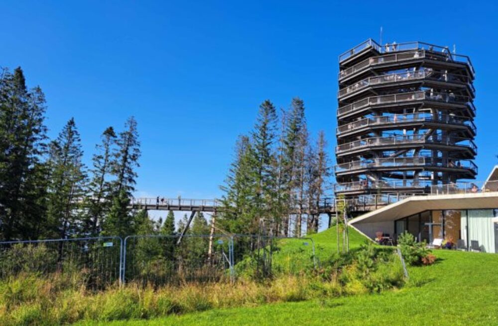 Výstavba novej lanovky v Bachledovej doline je v plnom prúde, dĺžka trasy bude 1 100 metrov