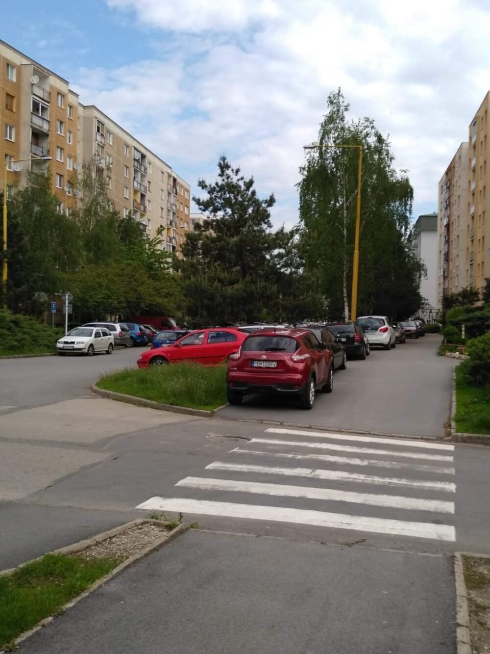 VLANI V MESTE UHYNULO 135 STROMOV, ĎALŠIE DESIATKY DALI VYRÚBAŤ