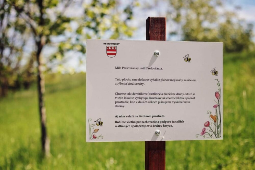 Na Sekčove sa bude kosiť menej, aby sa vrátili motýle