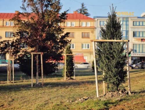 V Prešove vysadia vyše tristo nových stromov