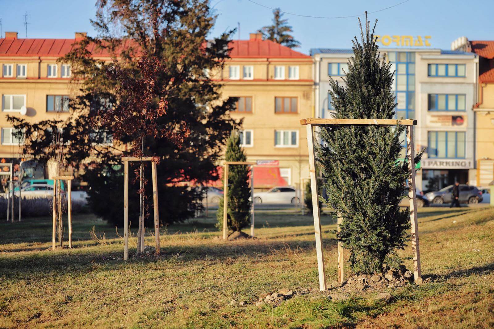 V Prešove vysadia vyše tristo nových stromov