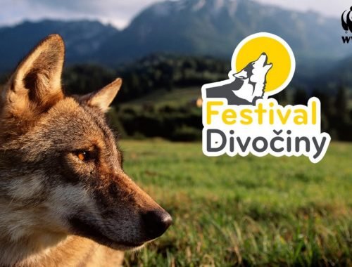 Festival divočiny Aggteleku: O spolužití ľudí a veľkých šeliem