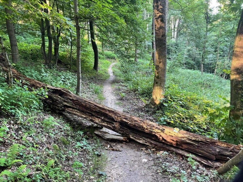 Severovýchod Slovenska sa pripravuje na zimný turizmus