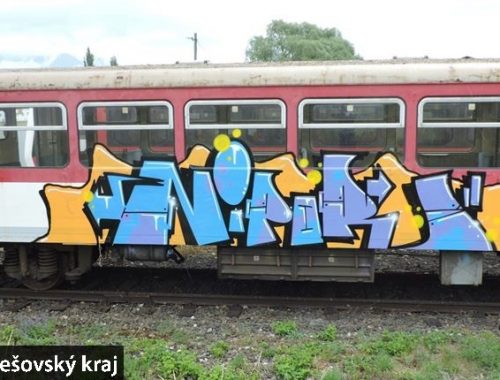Kreatívni sprejeri „ vyzdobili“ vlaky