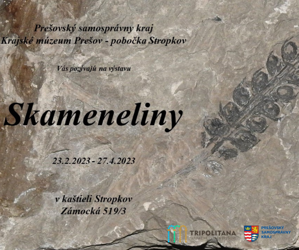 <strong>V Kaštieli Stropkov vystavujú skameneliny z pravekého Zemplína</strong>