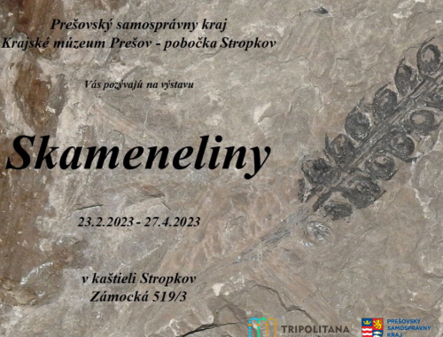<strong>V Kaštieli Stropkov vystavujú skameneliny z pravekého Zemplína</strong>