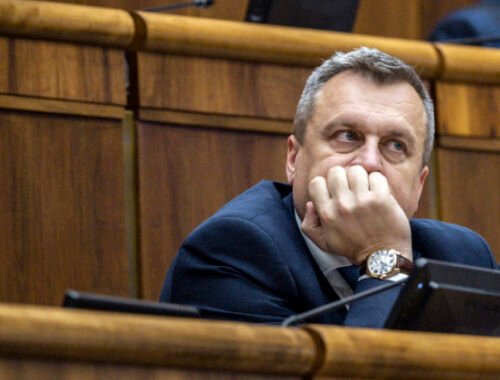 Návrh SNS o mimovládkach ide do druhého čítania, budú musieť zverejňovať informácie o daroch i darcoch