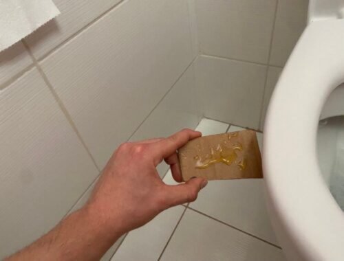 Rozložte v kúpeľni a nechajte cez noc. Švehla nebude mať šancu uniknúť