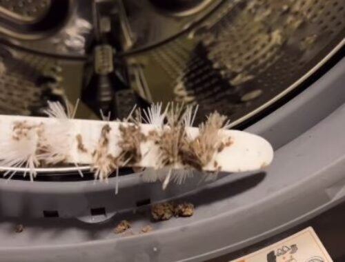 Po každom praní uplatňujem pravidlo 3xO. Už som zabudla, čo je to vlhkosť a pleseň