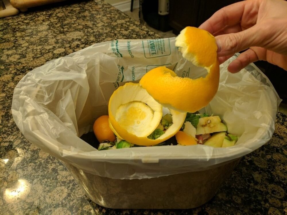 Pre niekoho zbytočné plytvanie časom, pre mňa oranžové zlato. Neuveríte, na čo všetko sa dá použiť