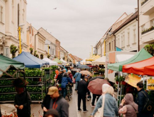 Štvordňový trh Májový kvet prinesie do Trnavy tisícky kvetov