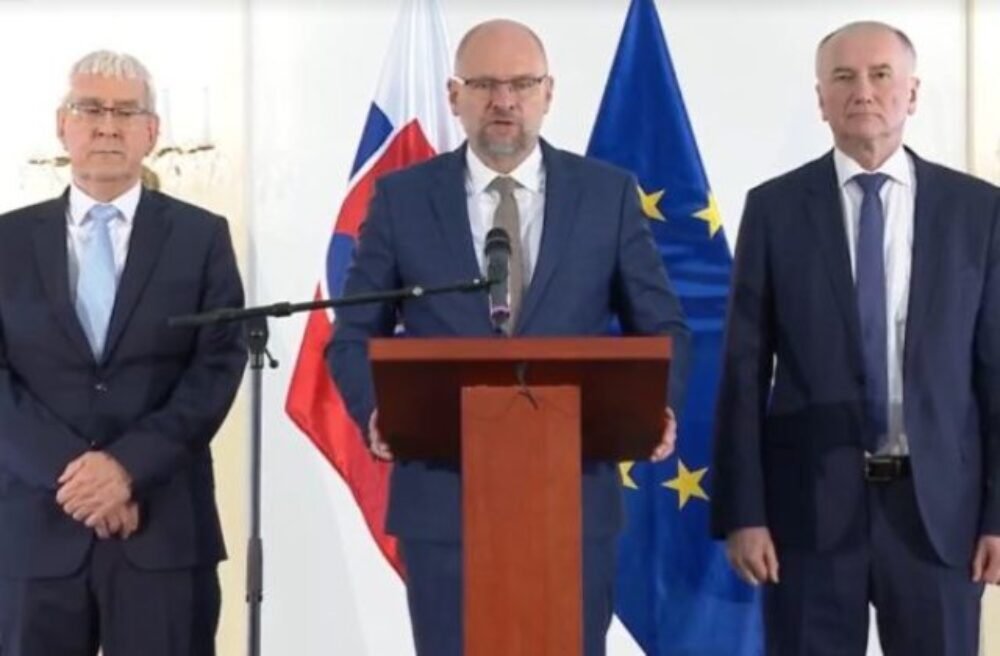 SaS predstavila Bratislavskú deklaráciu o budúcnosti EÚ, riadiť sa ním bude v Europarlamente (video)