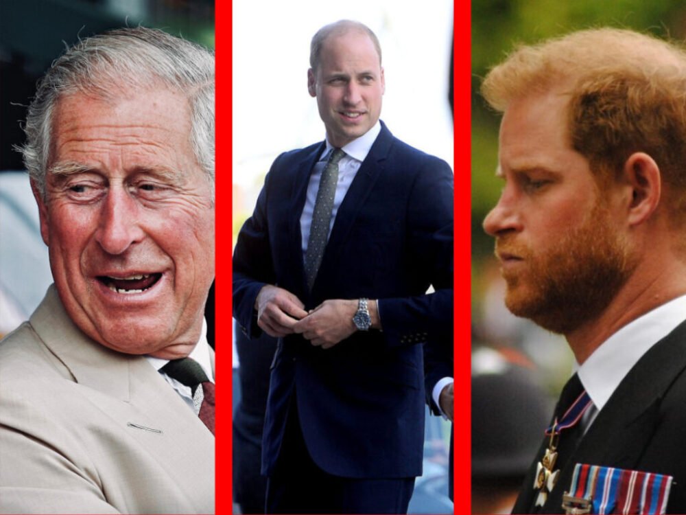 Kráľ Karol III zasiahol princa Harryho a princ William si môže spokojne mädliť ruky