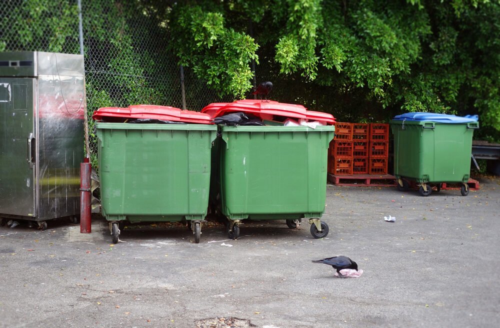 Kam vyhodiť rozbité zrkadlá, žiarovky a tuby zubnej pasty? Je to zložité. Odpoveď prekvapí