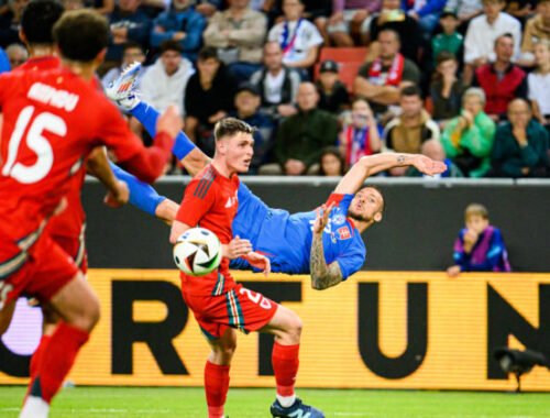 Slováci sa na góly nenapracovali, sami sme im ich darovali. Tréner reprezentácie Walesu sa ospravedlnil fanúšikom