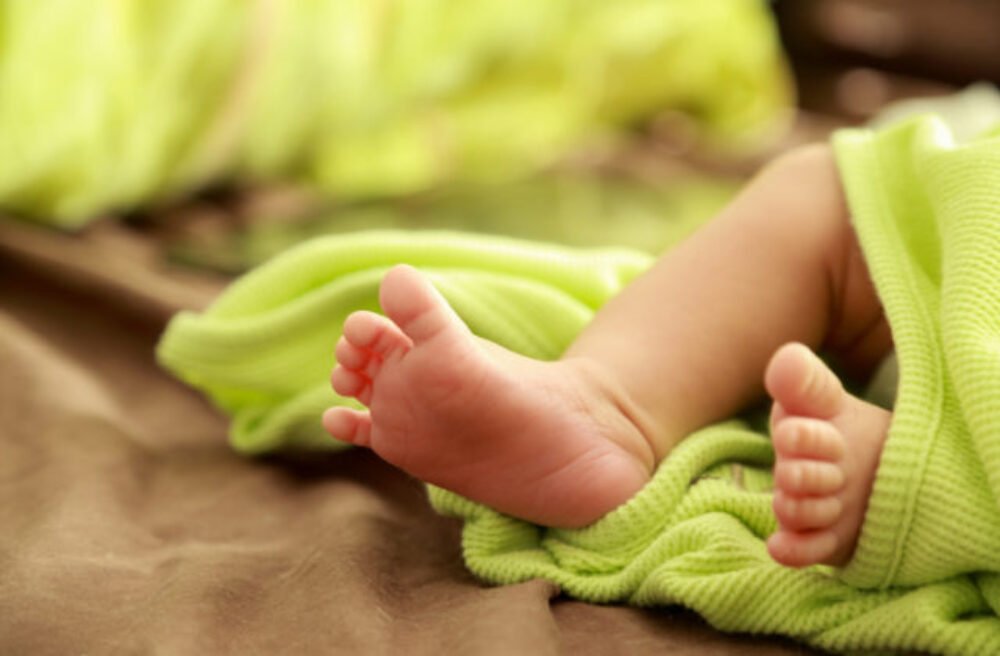 27825_novorodenec-640x420.jpg Žilinská polícia vyšetruje vraždu novorodenca, telo našli v odkvapovej rúre