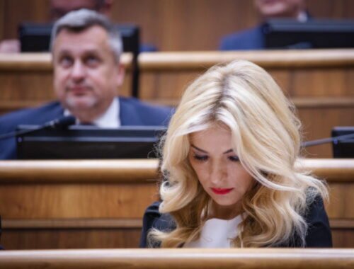 Danko stojí za rozhodnutiami Šimkovičovej. Sťažujú sa ľudia po celom Slovensku, hovorí Štefunko