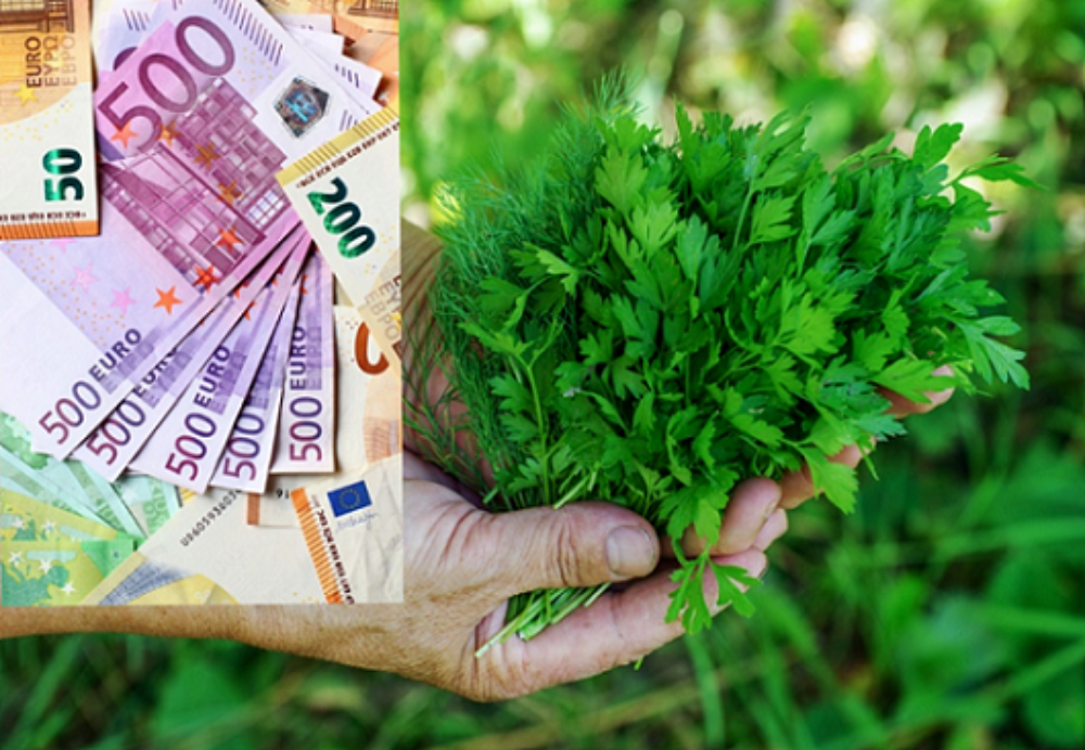 Dajte si petržlenovú vňať na týždeň do pohára a prídu k vám peniaze