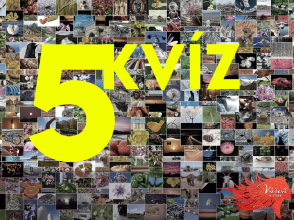 Ste pripravení na rýchly kvíz zo všeobecných vedomostí? Sobotňajšia rýchla päťka. Dnes len pre erudovaných hráčov