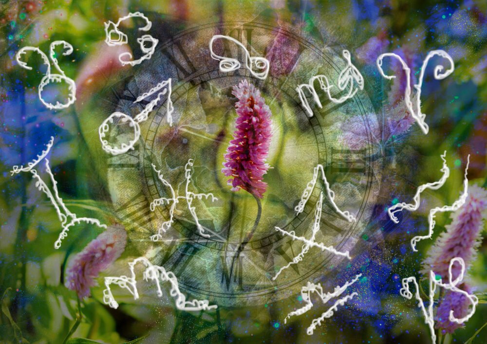 Denný horoskop na štvrtok – 13. júna