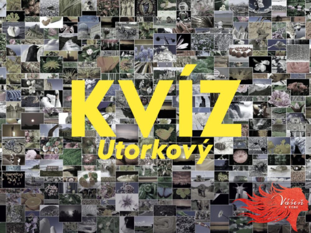 Utorkový všeobecný vedomostný kvíz vás zaujme. Skóre nad 10/13 si vyhradzujeme pre šampiónov