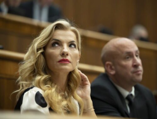 Inštitút ľudských práv adresoval odpoveď ministerke Šimkovičovej k jej údajnému neonacistickému slovníku