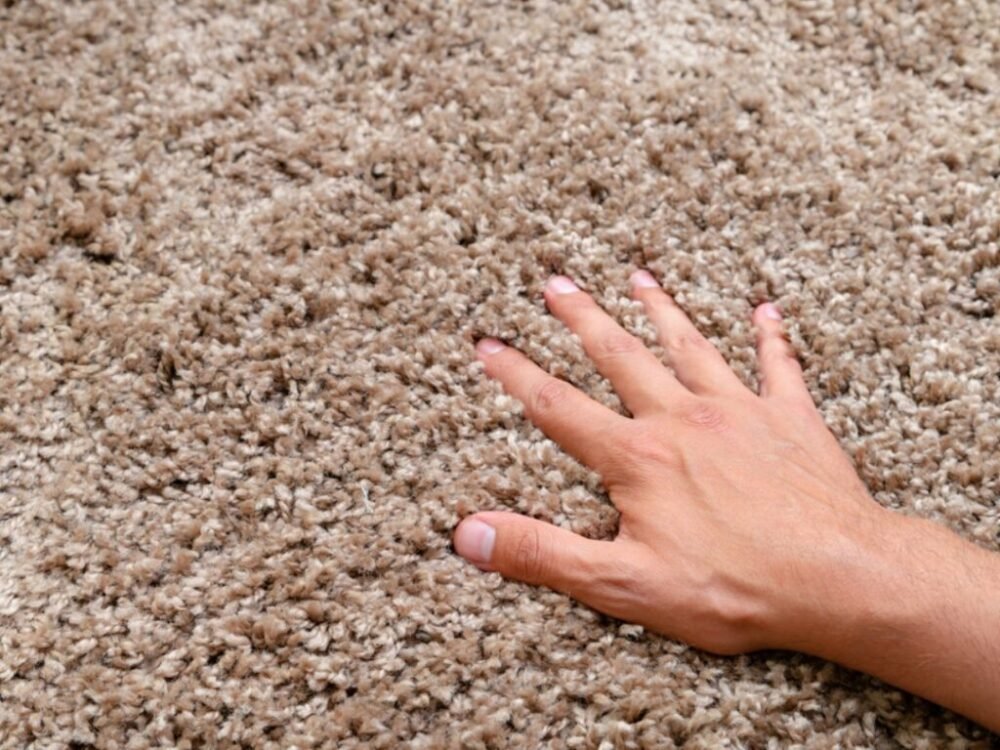 Zabudnite na drhnutie koberca kefou. Hodina a bude ako nový