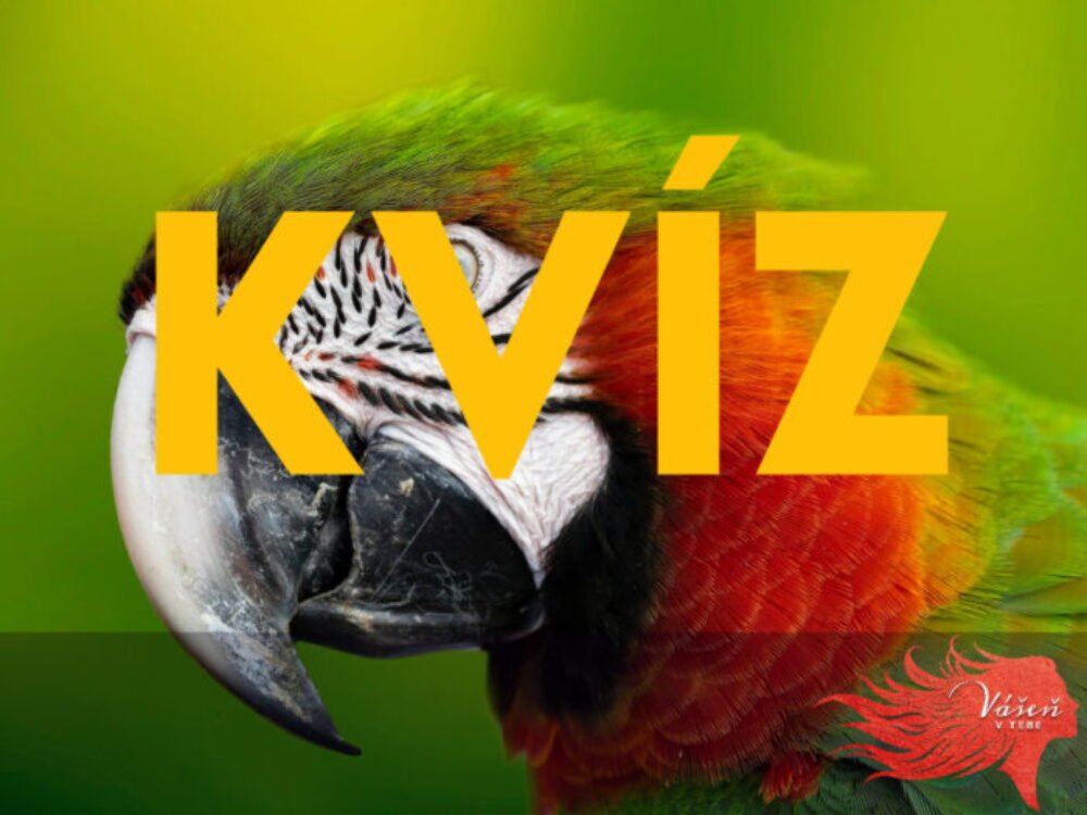 Prírodný kvíz taký ťažký, že budete krútiť hlavou. Nie ste erudovaný človek? Nepočítajte s dobrým výsledkom
