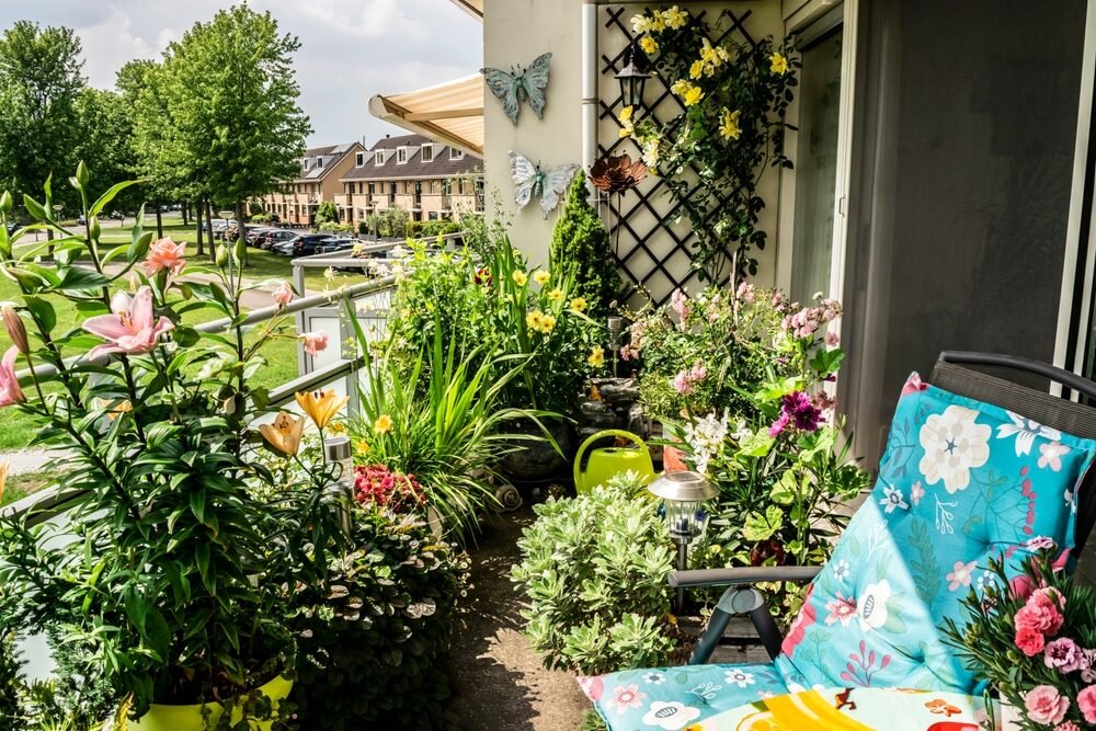 Vysaďte tieto rastliny na balkón. Poskytnú potravu včelám a motýľom