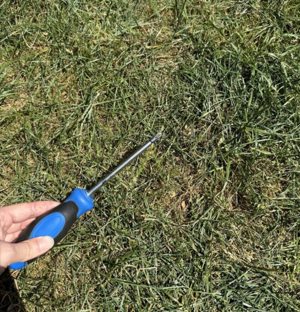 Vezmite skrutkovač a zapichnite ho do trávnika. Znie to zvláštne, ale zabráni to jeho zožltnutiu