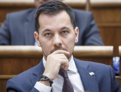 Skupina vyšetrovateľov sa postavila za obvinených policajtov, podľa Šeligu všetkých z pomsty preradili na iné oddelenia (video)