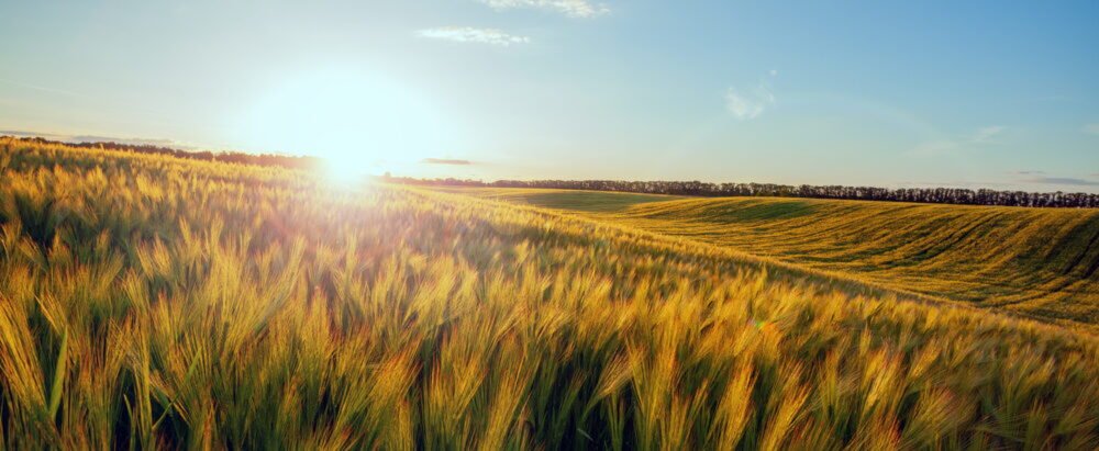 Víkend pred nami! Čo nás čaká v sobotu? Víkend pred nami! Čo nás čaká v sobotu?
