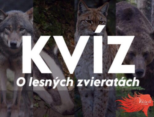 Vedomostný kvíz o lesných zvieratách pre skutočné hlavy! Dosiahnete aspoň 5/10?