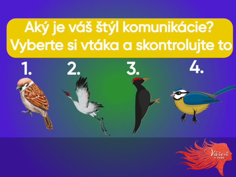 Psychotest: Aký je váš štýl komunikácie? Vyberte si vtáka a skontrolujte to
