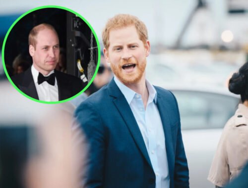 Princ William je na princa Harryho zúrivý: „Už má dosť toho, že on a Meghan zarábajú na Dianinej smrti“