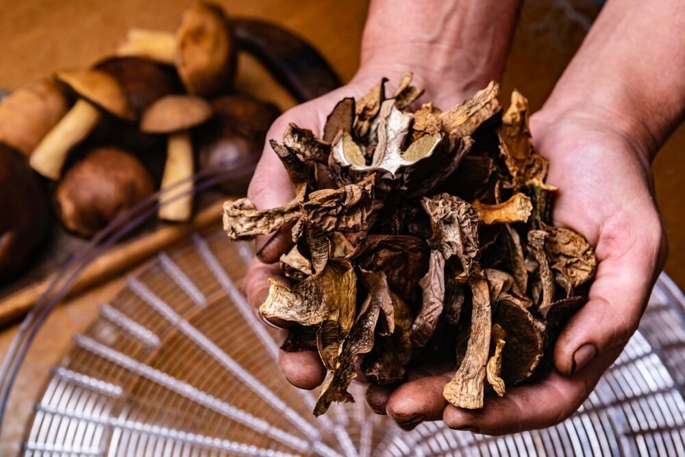Túto chybu často robia hubári. Krásne exempláre sa pokryjú plesňou