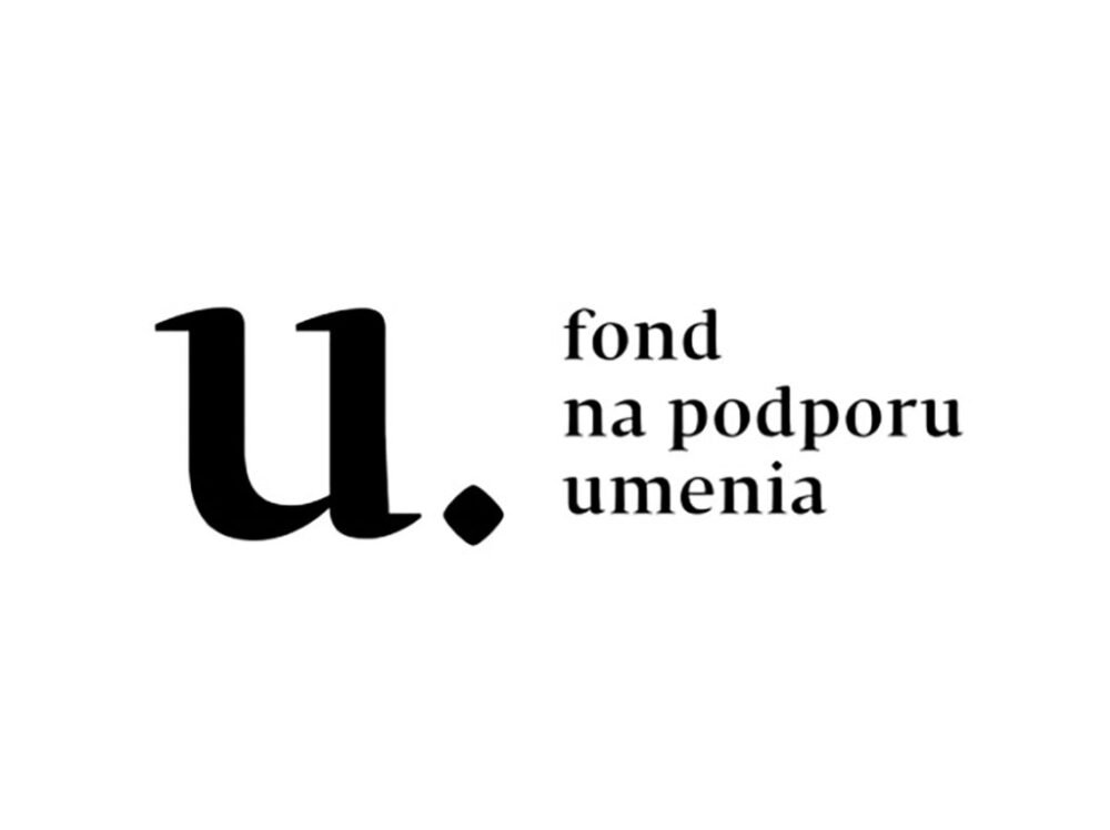 Problémy s výberom odborných komisií a zabezpečenie transparentnosti rozhodovania v FPU