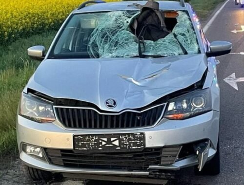 Tragédia pri Seredi. Chodec bez reflexných prvkov zomrel po zrážke s autom – FOTO