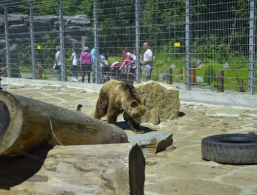 ZOO v Spišskej Novej Vsi otvoria s mesačným oneskorením, pre návštevníkov sú pripravené novinky