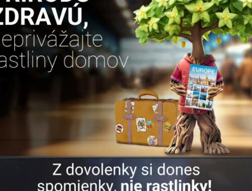 Tretí ročník kampane #PlantHealth4Life vyzýva občanov k ochrane zdravia rastlín