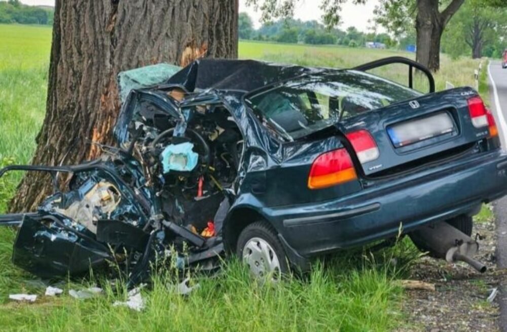 V Šali došlo k tragickej dopravnej nehode, 48-ročný muž zišiel s autom z cesty a narazil do stromu