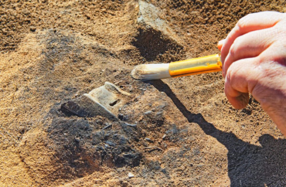 Archeológovia preskúmajú pohrebiská pod budúcim obchvatom Šale, aj jaskyňu lovcov z doby kamennej v Tatrách