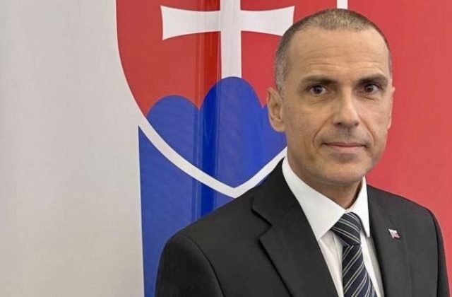 Žilinka a Dobrovodsk&yacute; v&iacute;taj&uacute; verdikt &Uacute;stavn&eacute;ho s&uacute;du. Ochrana oznamovateľov nesmie ust&uacute;piť politick&eacute;mu tlaku